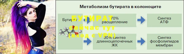 мдпв Гусь-Хрустальный