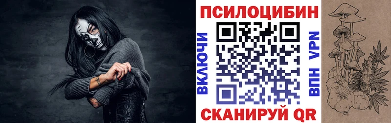 наркота  Северская  Галлюциногенные грибы Cubensis 