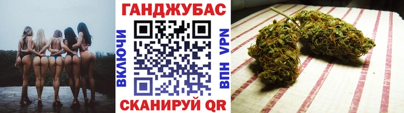 Канабис марихуана  Северская 